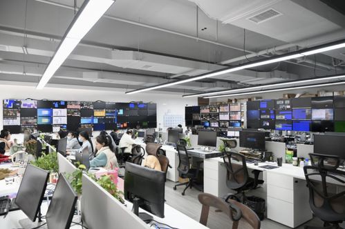 營收15 投入研發(fā),小鳥科技如何坐穩(wěn)國內(nèi)視聽領(lǐng)域 領(lǐng)頭羊